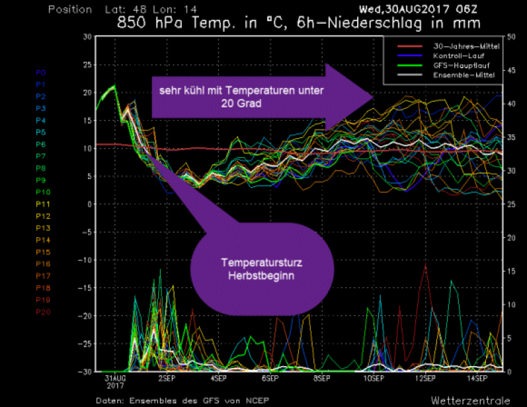 MS_1448_ens (3).png