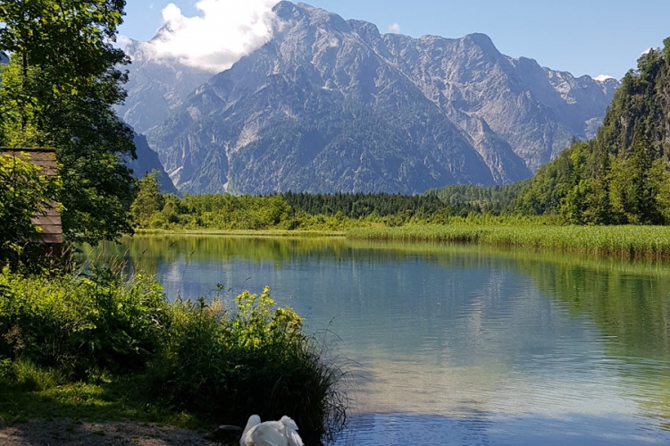 Almsee 10