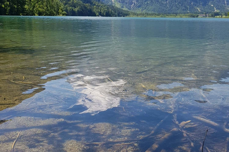 Almsee 8