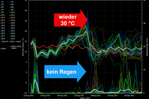 regen