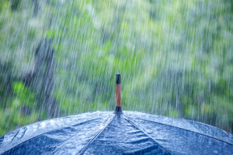 Regen